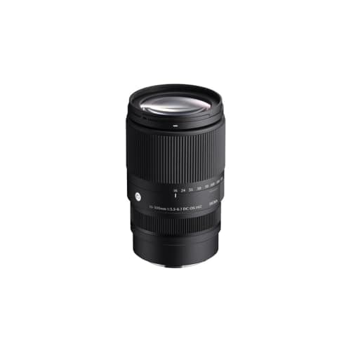 16-300mm Superzoom