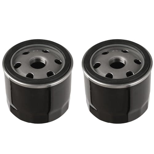 Kohler 2-Pack Filter