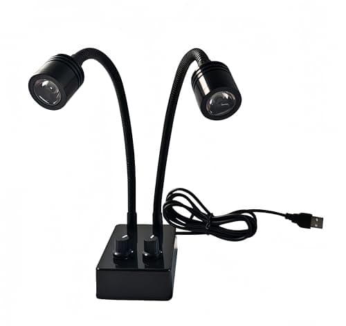 Dual Gooseneck Light