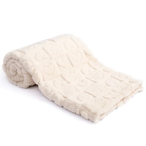 Budget Plush Throw