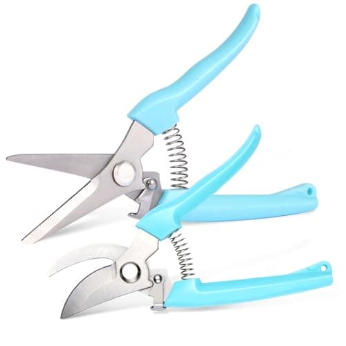 Compact Pruning Pair
