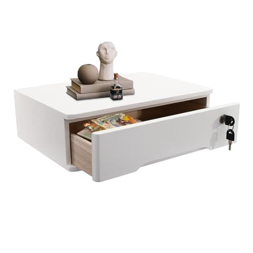 Compact Lockable Organizer