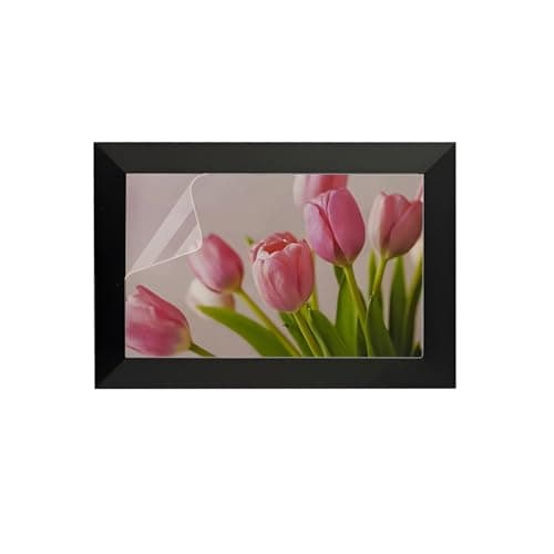 The Best Digital Picture Frame Screen Protector Foils