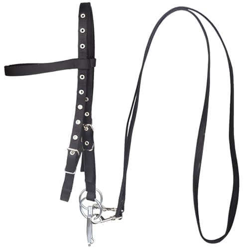 Sturdy Nylon Bridle
