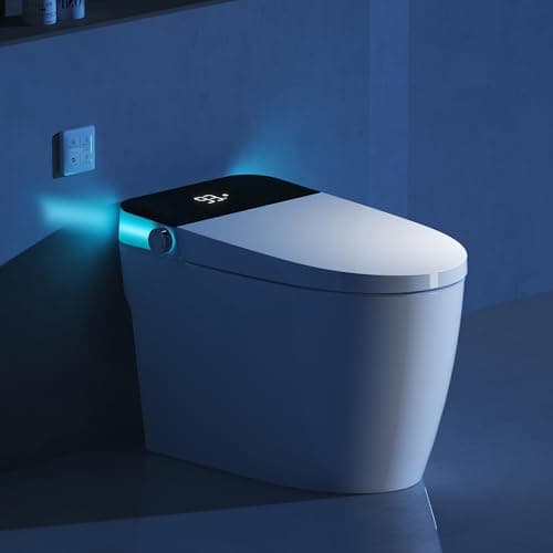 Heated Smart Toilet