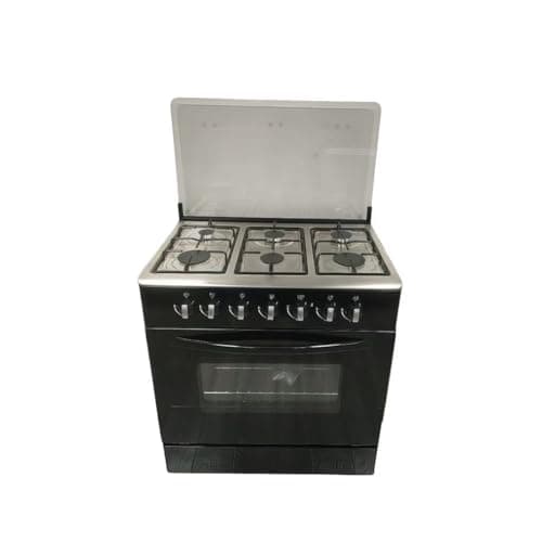 6-Burner Professional Range