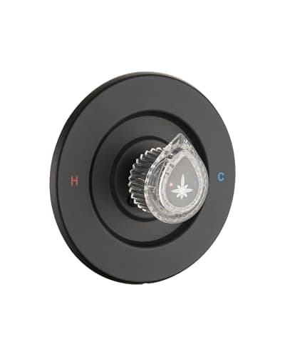 Moen Fit Trim Kit