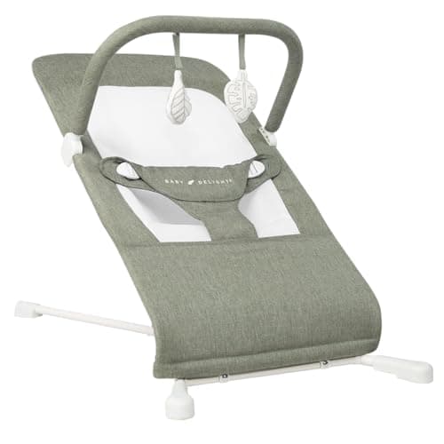 Trusted Recline Bouncer