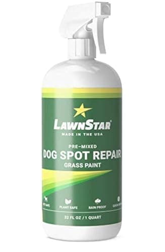 The Best Garden Lawn Paint