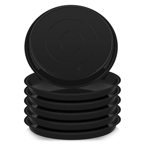 The Best Plant Saucers