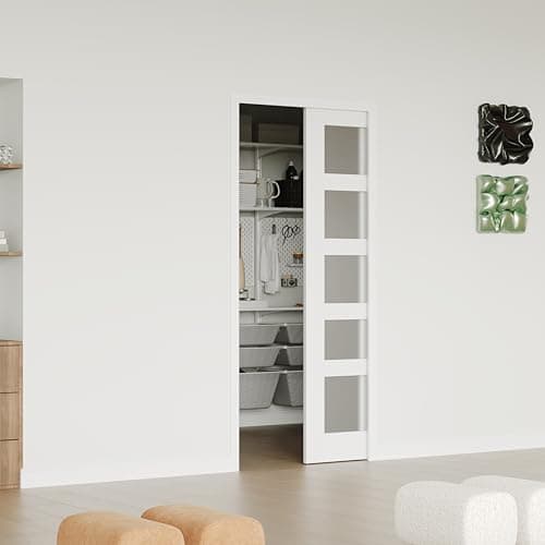 Frosted Pocket Door