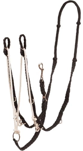 Mustang German Martingale