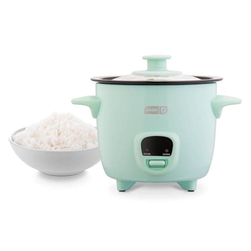 Compact Steamer Cooker