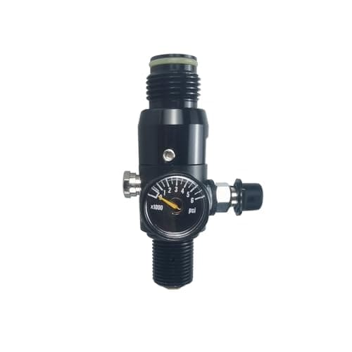 3000psi Budget Regulator