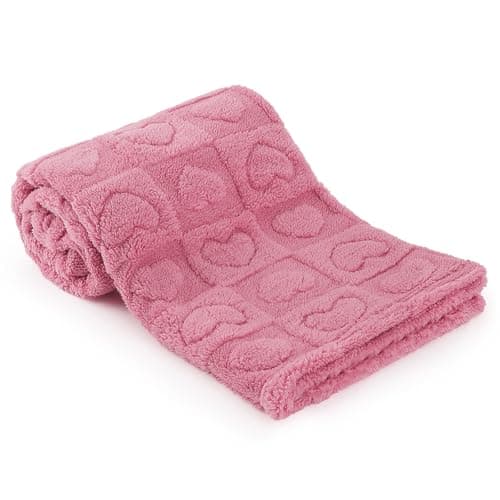 Budget Heart Checkered Blanket