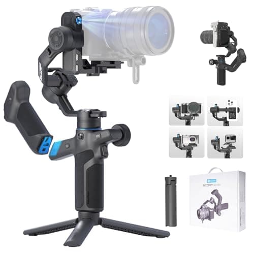The Best Professional Video Stabilizers