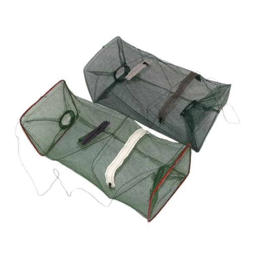 Collapsible Bait Trap Duo
