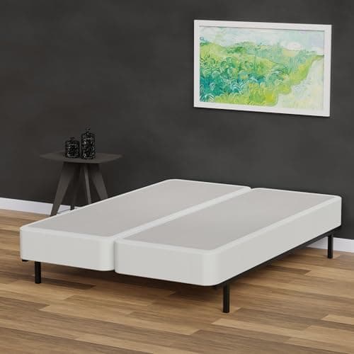 Continental Sleep Foundation