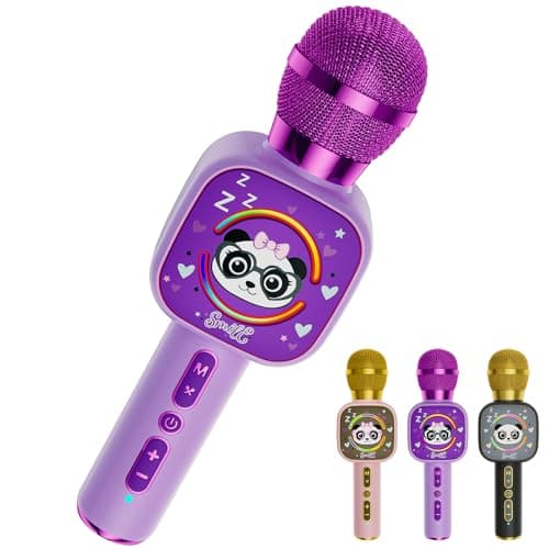 Duet Karaoke Microphone