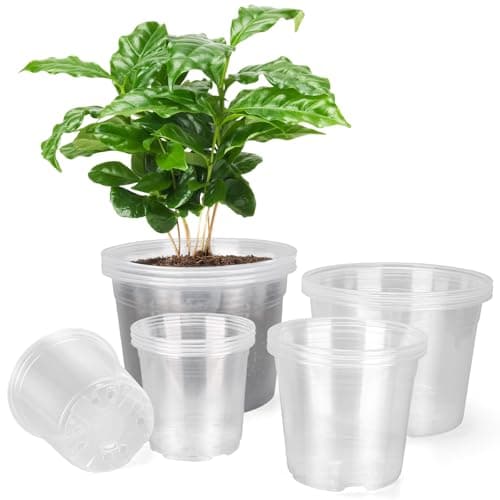 Large Clear Multi-Size Set