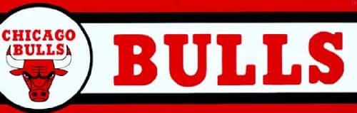 Bulls NBA Border