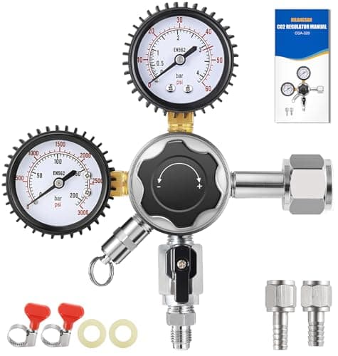 Hilangsan Dual-Stage Regulator