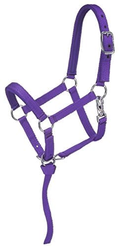 Padded Miniature Halter