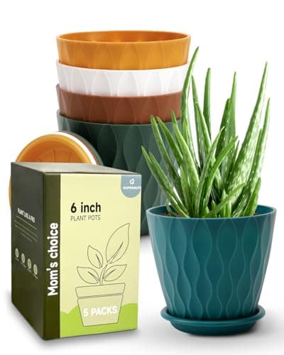 The Best Garden Pots
