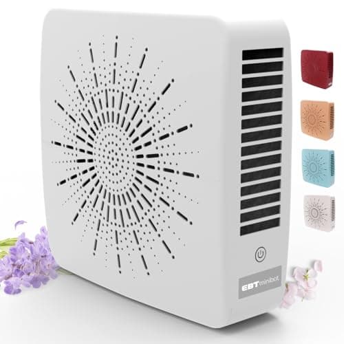 Desktop HEPA Fan Combo
