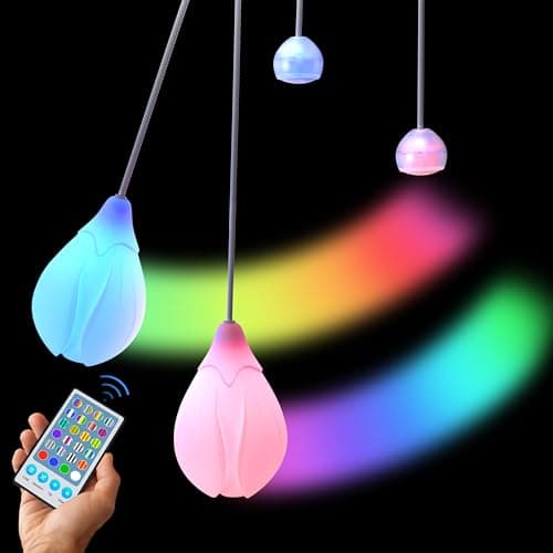 Pro LED Poi V3