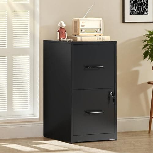 Secure 2-Drawer Steel