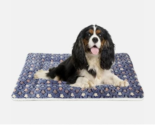 Star Print Pet Bed