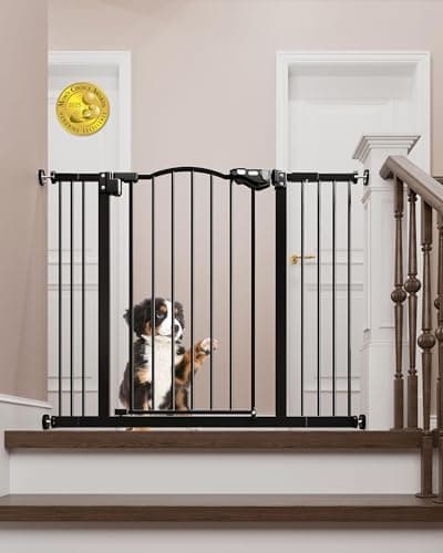 Sturdy Steel Gate