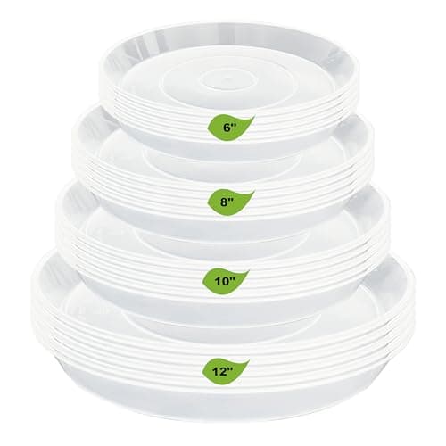 Mixed-Size Clear Set