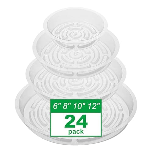 CATIFLIN Clear Saucer Set