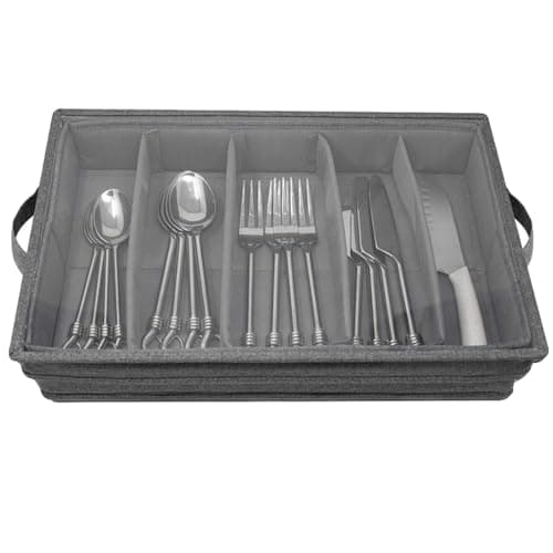 Compact 5-Compartment Organizer