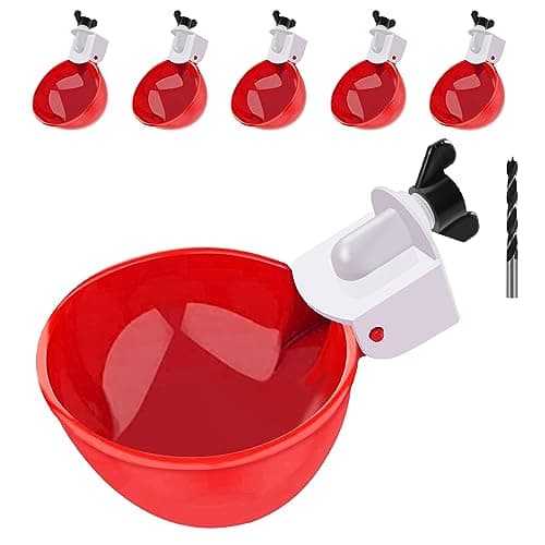 The Best Poultry Fountains & Waterers