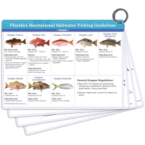 Florida Saltwater Cards