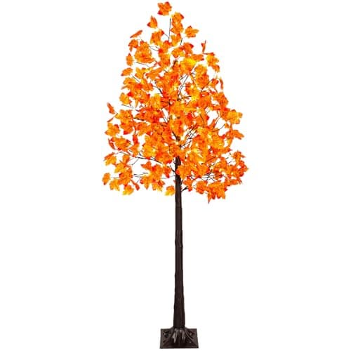 VIVATREES 6FT Maple Tree