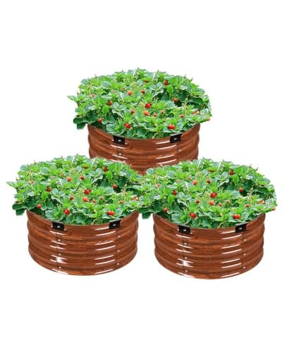 3-Pack Round Beds