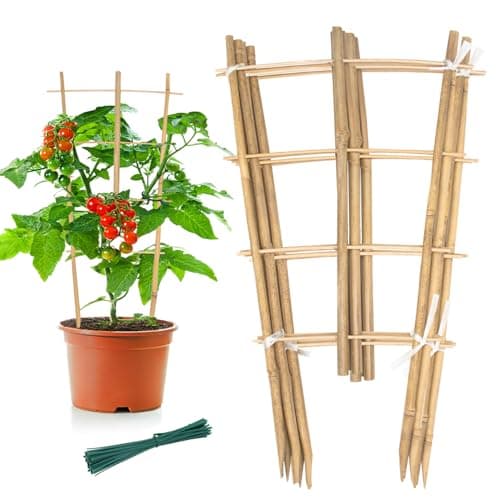 3-Pack Bamboo Trellis