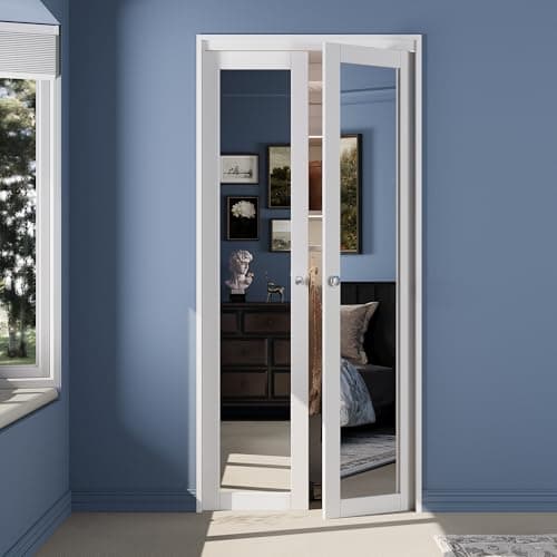 Pivot Mirrored Closet Door