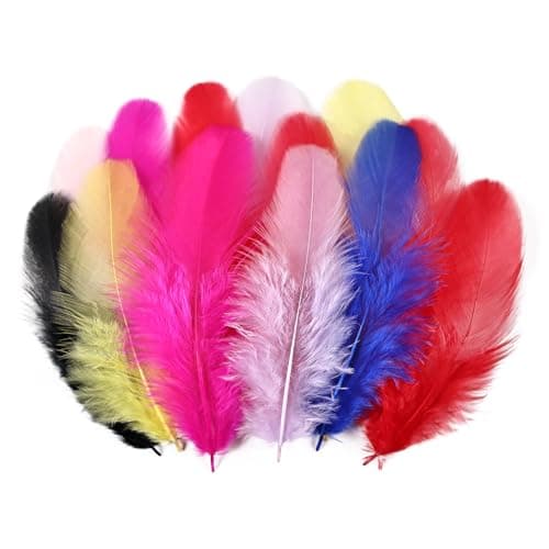 Bulk Colorful Rooster Feathers