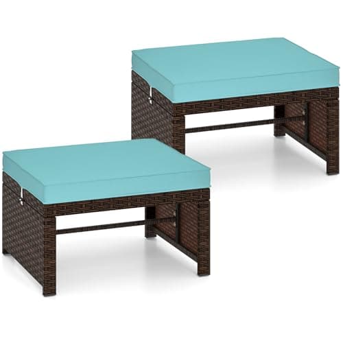 Premium Rattan Pair