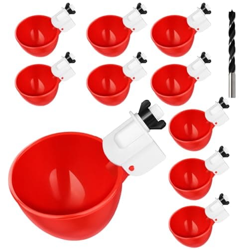 Large Automatic Cups