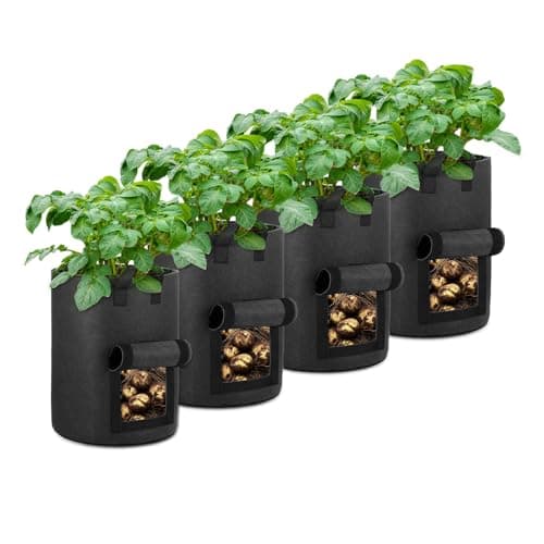OPPOLIFE 10-Gallon Bags
