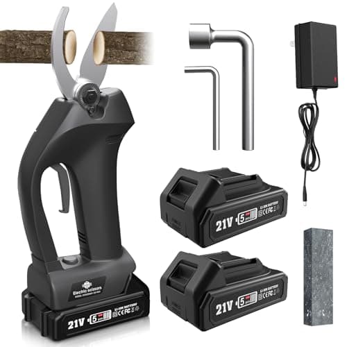 Compact Budget Pruner