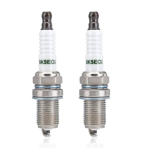 RC12YC Multi-Fit Plug