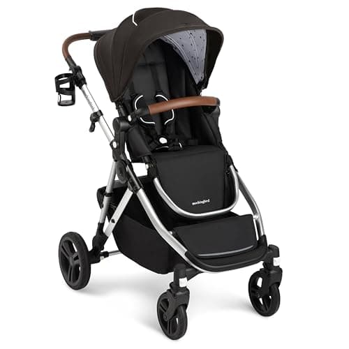 Modular Double Stroller