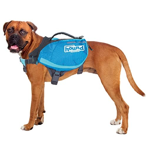 DayPak Saddle Backpack